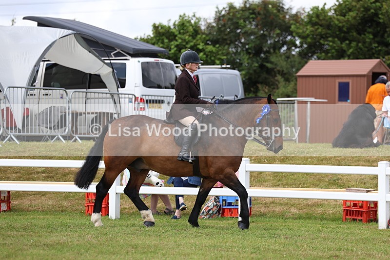 3E7A0475 - Rising Star Ridden Championship