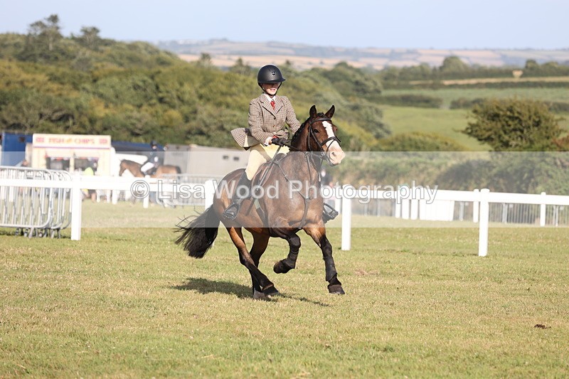 JPP_3229 - Class 21: Working Hunter 80cm