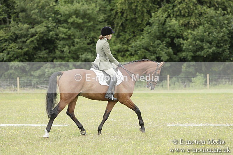 BVR160717-1412 - Class 3 Dressage 16/07/17