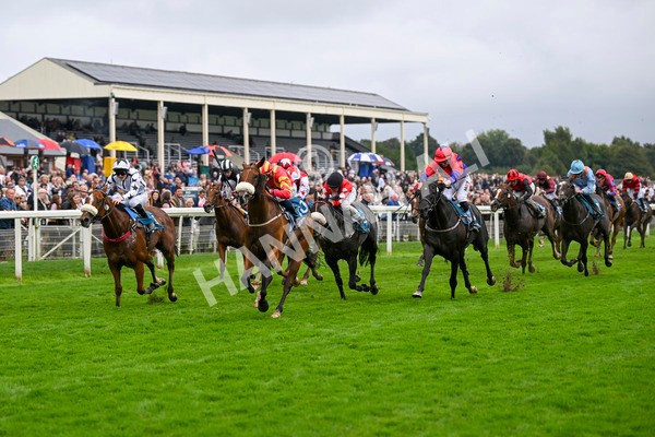 080924-Race 6-Northern Spirit-9463 - Race 6 4.35pm Hanson Springs Handicap