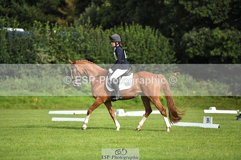 230826-093203-15131 - Sections C & D 9 to 10am