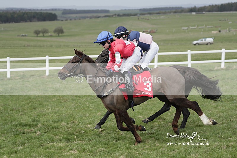 PtP 260323 1036 - New Forest Hounds Point-to-Point Larkhill 26/03/23