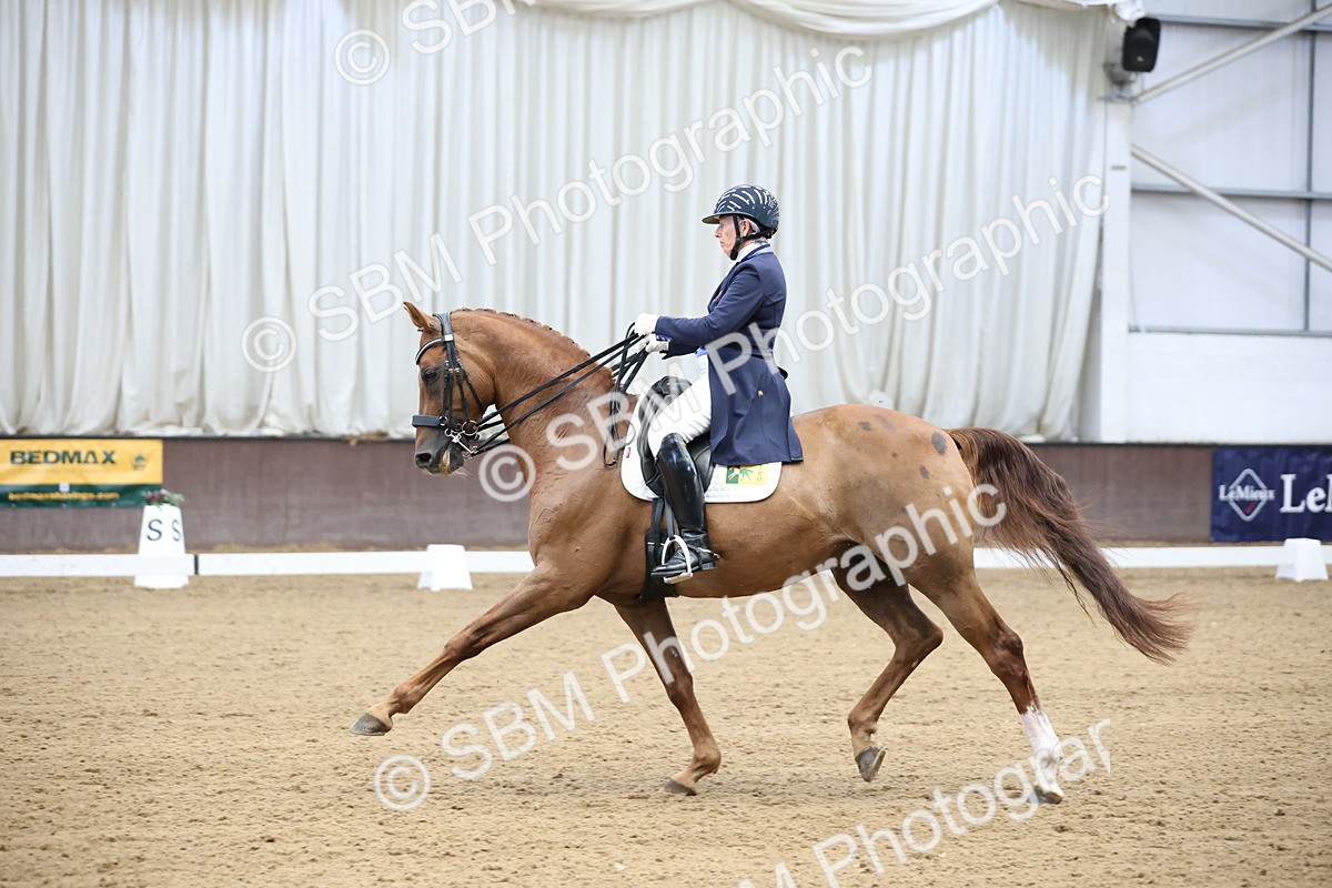 SBM_004761 - Class 9 - FEI Inter 1 Gold - 16.59-17.47