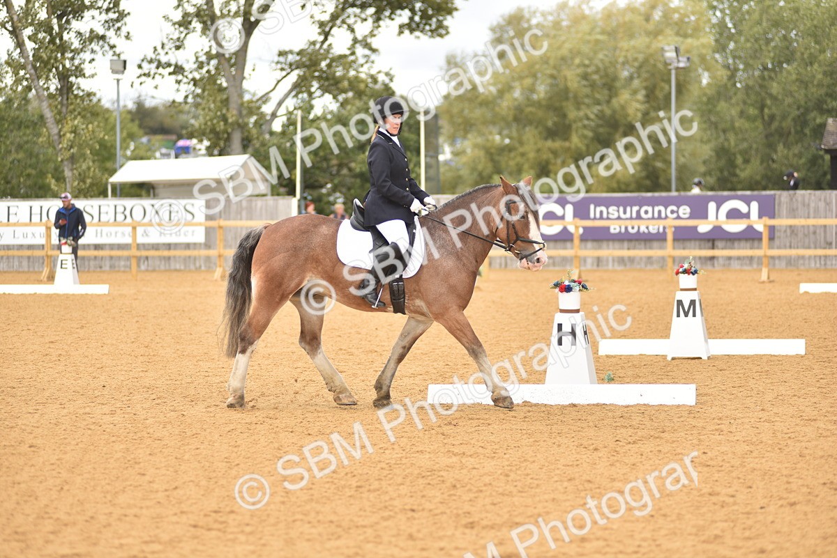 SBM_19872 - D4 - Small Tour Championship Intro 4