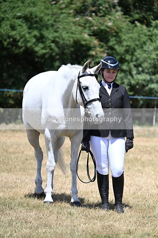 WJ7_2391 - Class 5a Most Handsome Gelding in hand (above 14.2hh)