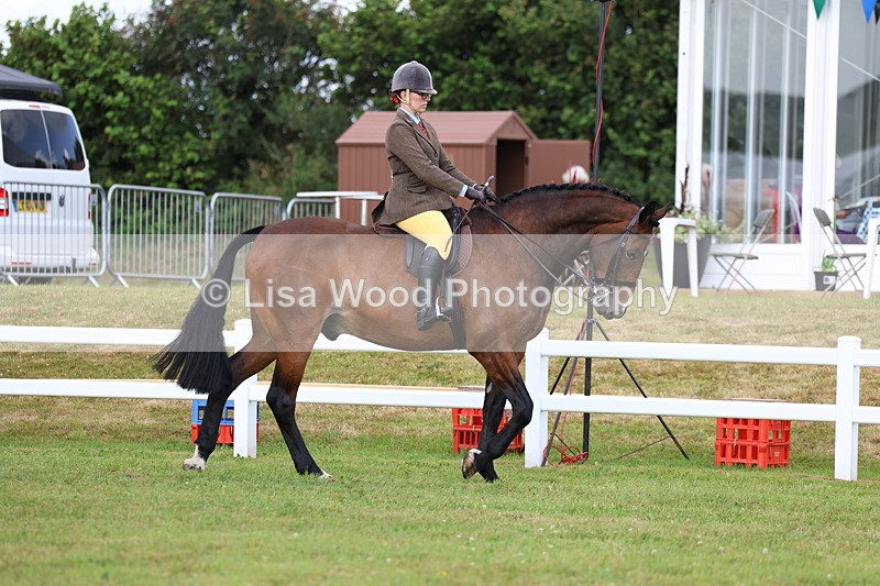 3E7A9257 - Class 4: Rising Star M/H Hunter