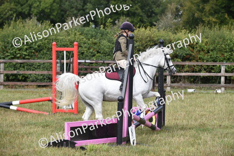 20250831-1808 - Class 8 - Hoof and Foot