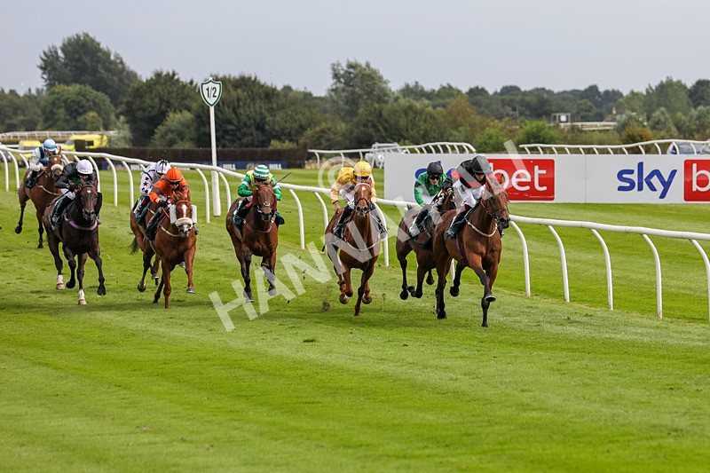 240724-Race 4-Swinging Eddie-3504 - Race 4