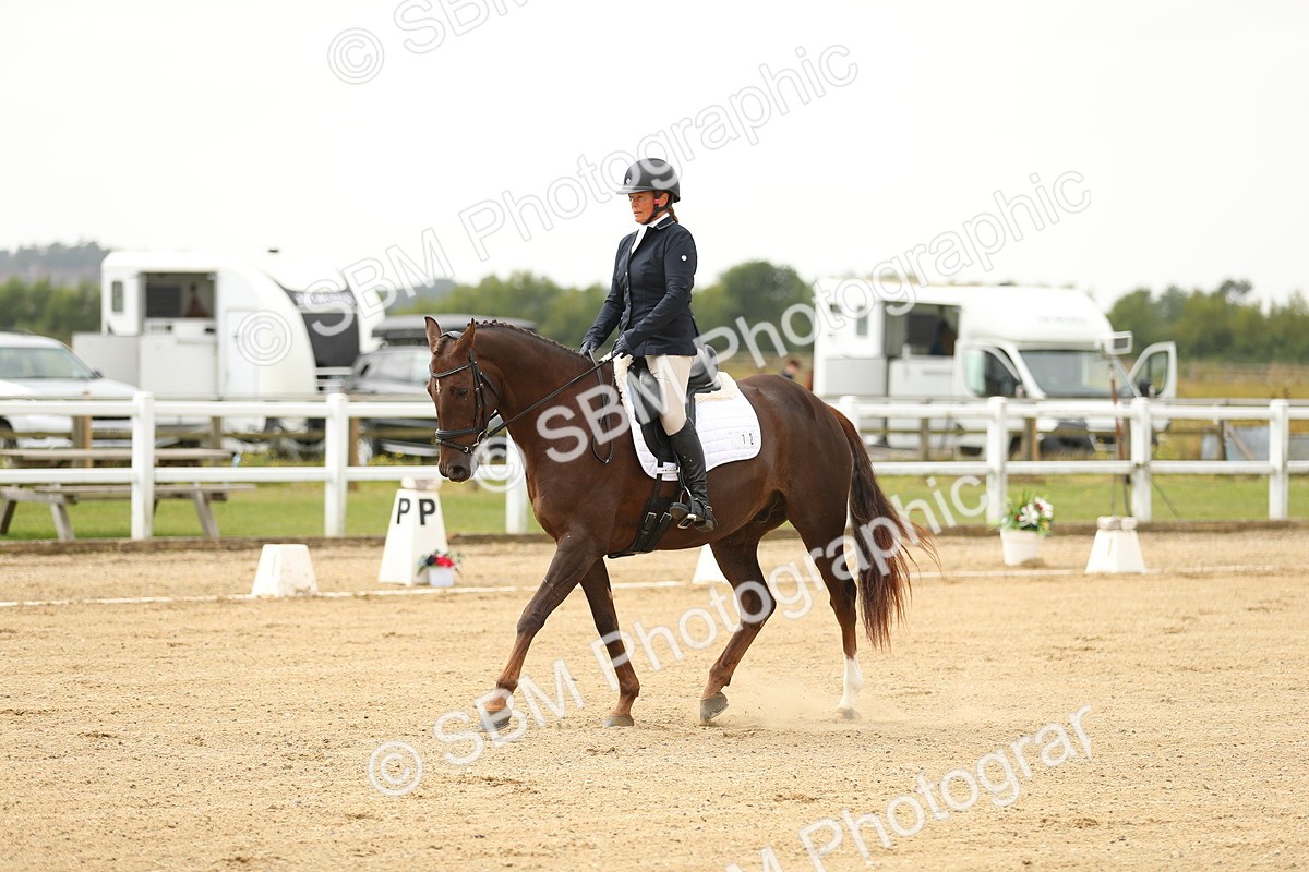 SBM_017238 - Class 13 - Novice 23 - 13.31-14.13