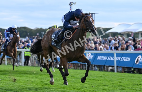 210825-251 Royal Velvet - Race 7 5.20pm British EBF Fillies' Handicap