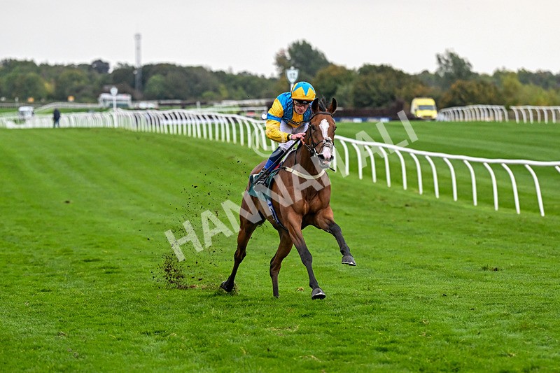 011025-Race 7-Lightning Tiger-0800 - Race 7