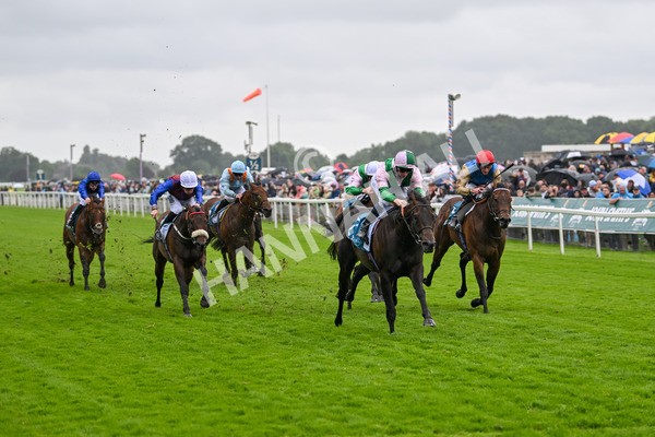 130724-Race 2-Starlust-7073 - Race 2 2.35pm John Smith's City Walls Stakes