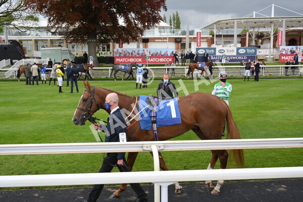 yr14052021r7-3 - Race 7 4.50pm Irish Thoroughbred Marketing Stakes