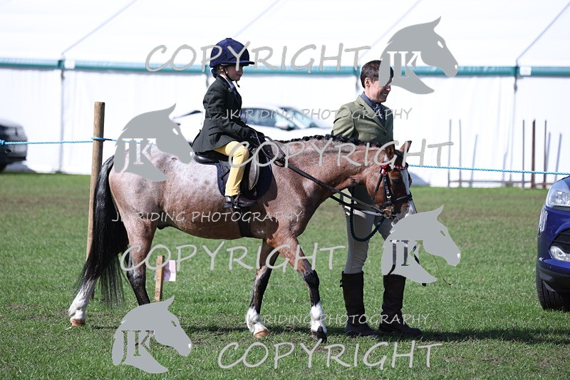 APP_3801 - Class 13 Lead rein