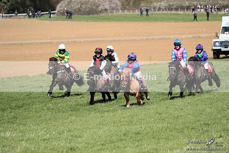 Shet 060426 254 - Shetland Pony Racing Paxford Races Easter Mon 06/04/26
