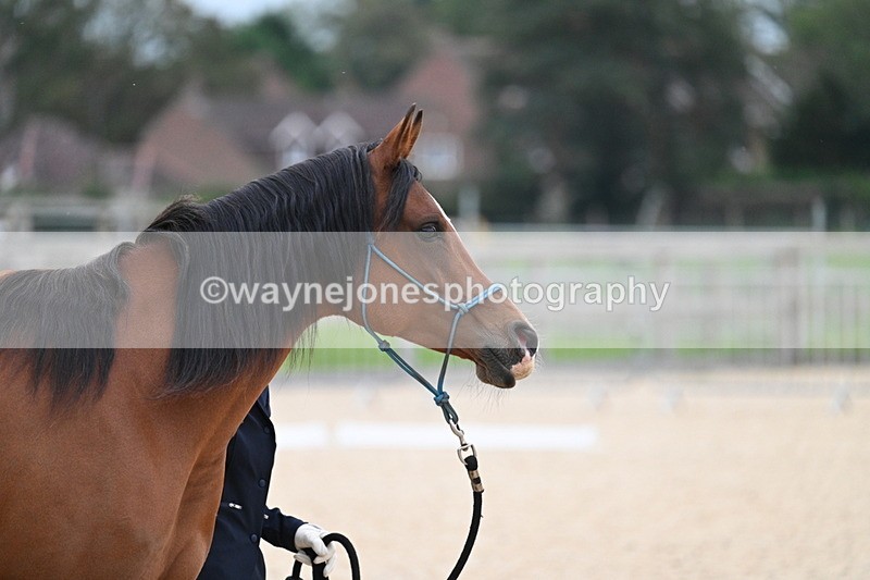 WJ7_1925 - Class 1 & Champs