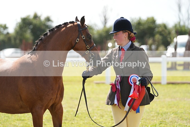 DSC07507 - Pony Breeding Championship