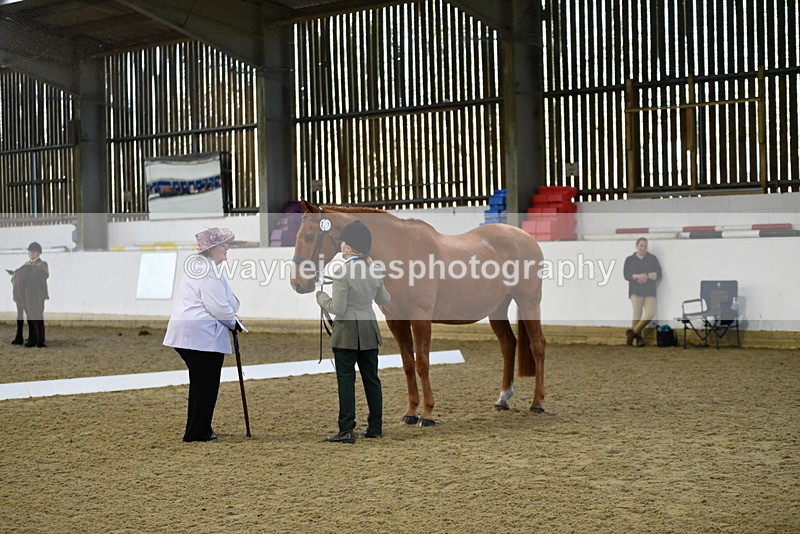 WJ5_3603 - Class 5 In Hand Veterans