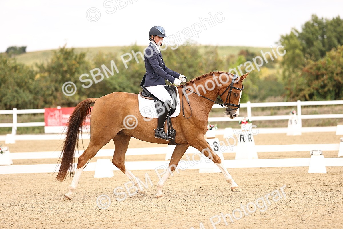 SBM_013801 - Class 4 - Novice 5  12.13-13.02