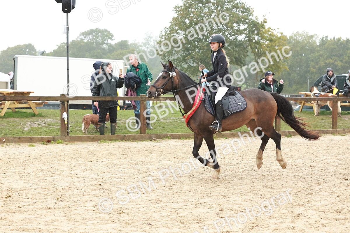 SBM_73669 - Supreme Championship Junior Pony 60cm & 65cm