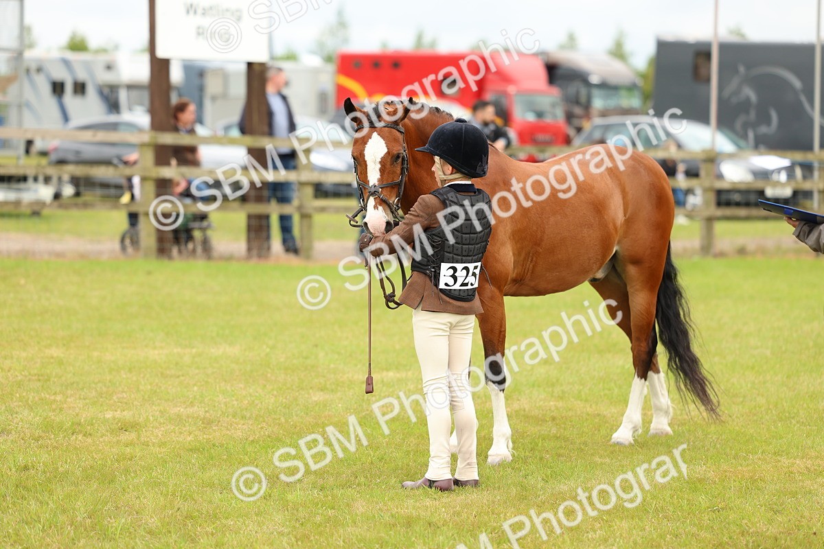 SBM_10251 - Class 44-45 - LIHS BSPS Open Nursery and Cradle Stakes