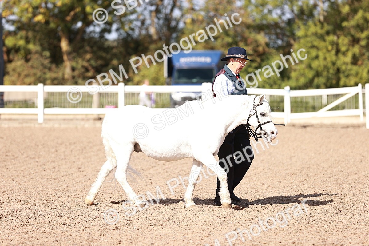 SBM_22874 - Class 706 - IH Veteran