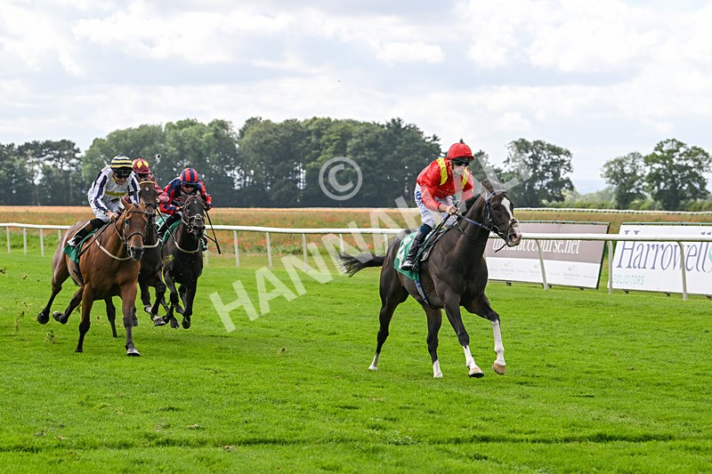 090824-Race 4-Law Of Average-4681 - Race 4