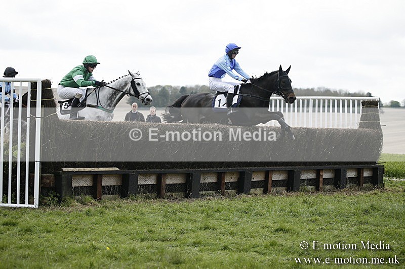 PtP 170417 73 - Old Berks Point-to-Point Lockinge 17/04/17