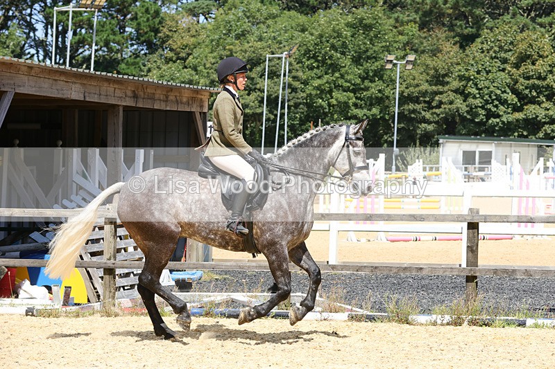 1X9A8801 - Class 19: Riding Club Horse