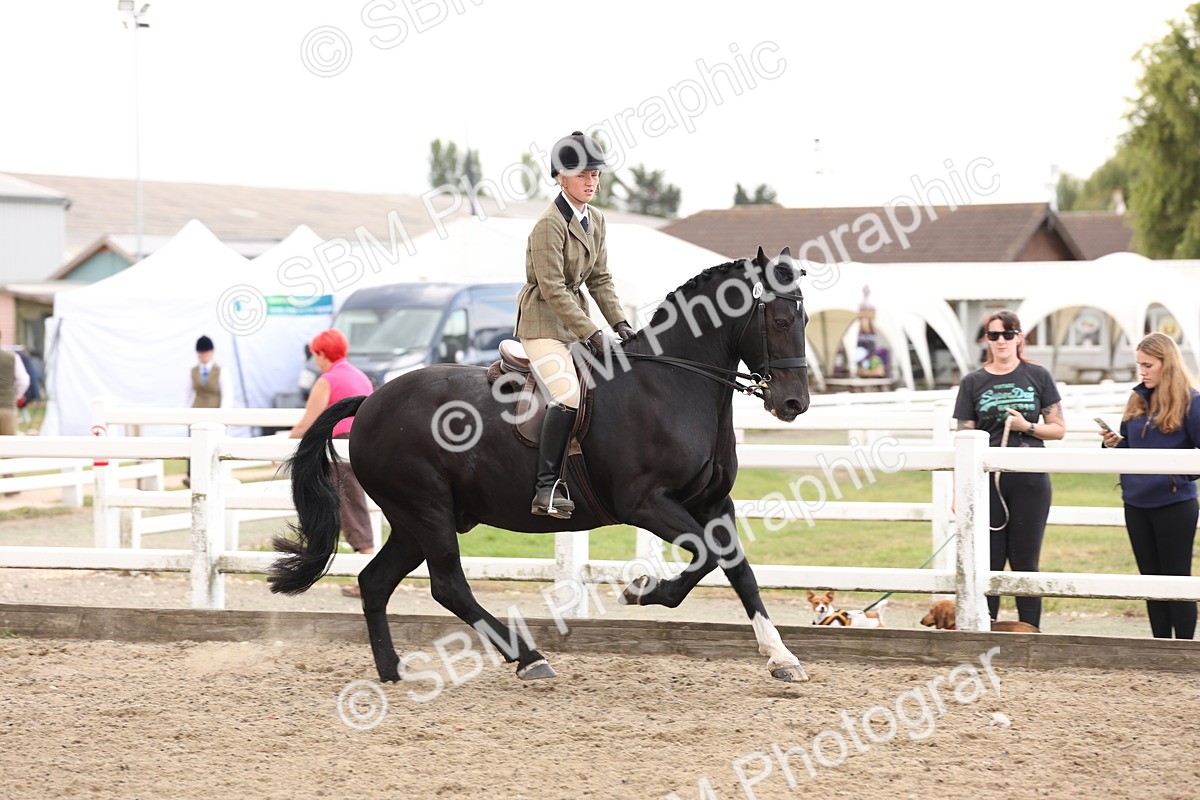 SBM_04197 - Class 54 - Riding Club Horse/Pony