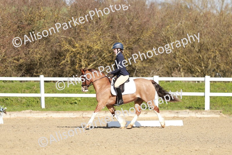 20260314-4288 - DR4 - Prelim 2