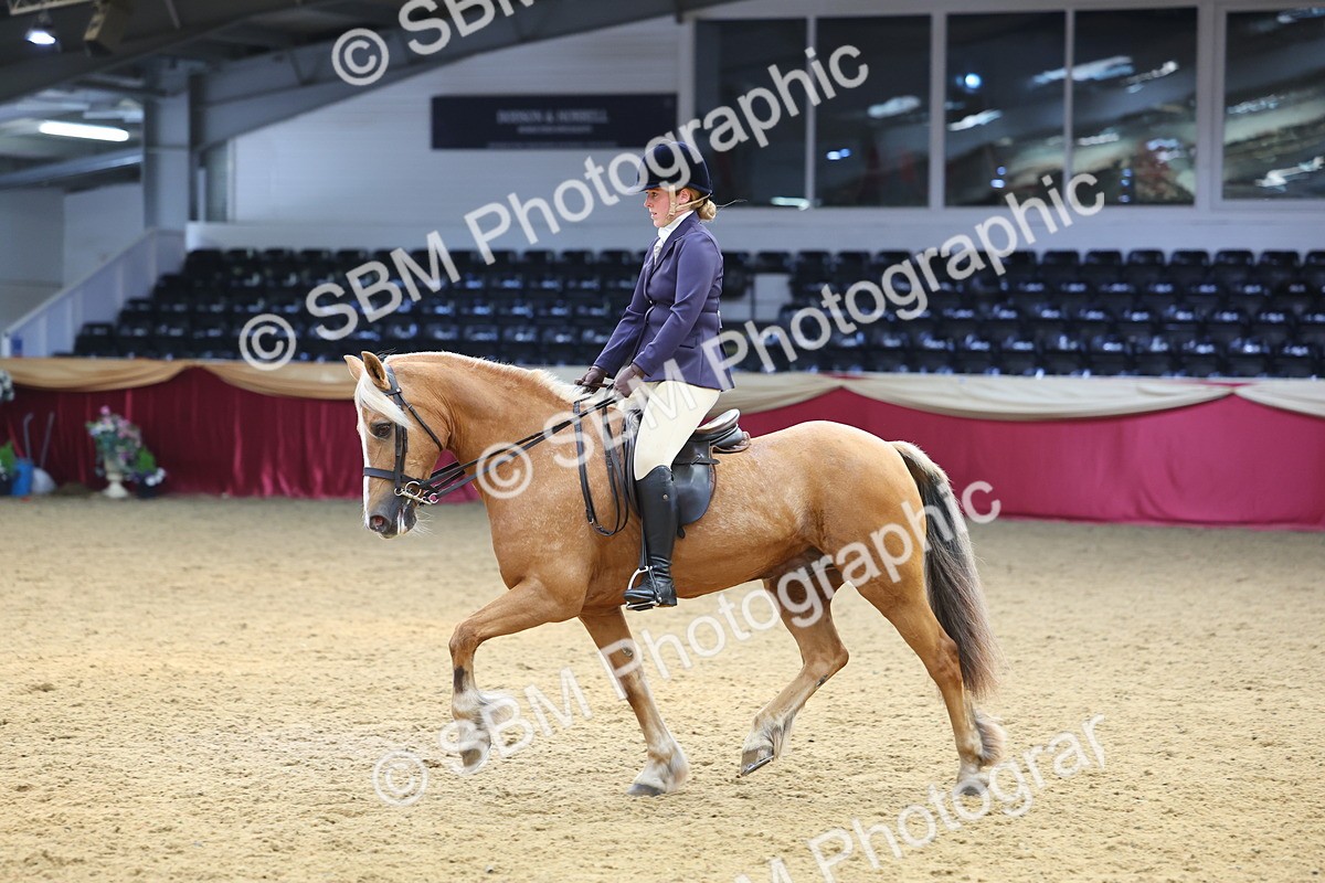 SBM_23531 - Class 904 - Supreme Final Ridden Diamond