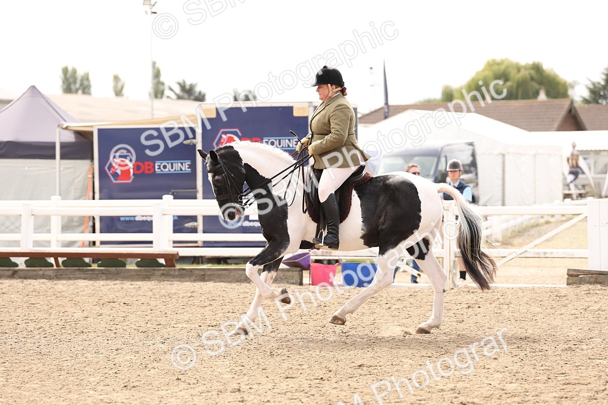 SBM_04285 - Class 54 - Riding Club Horse/Pony