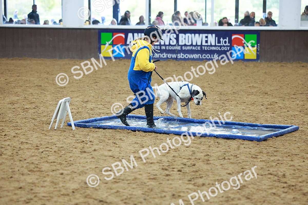 SBM_002294 - Class 3 - Horse & Hound (60cm)