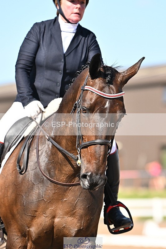 240816A-161549-06125 - 311-JANE.GREGORY-RUTHIES.DREAM