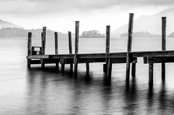  - Black & White