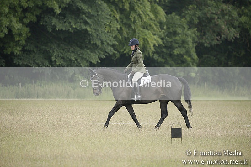 B230619-0142 - Bourne Valley Riding Club Summer Show 23/06/19