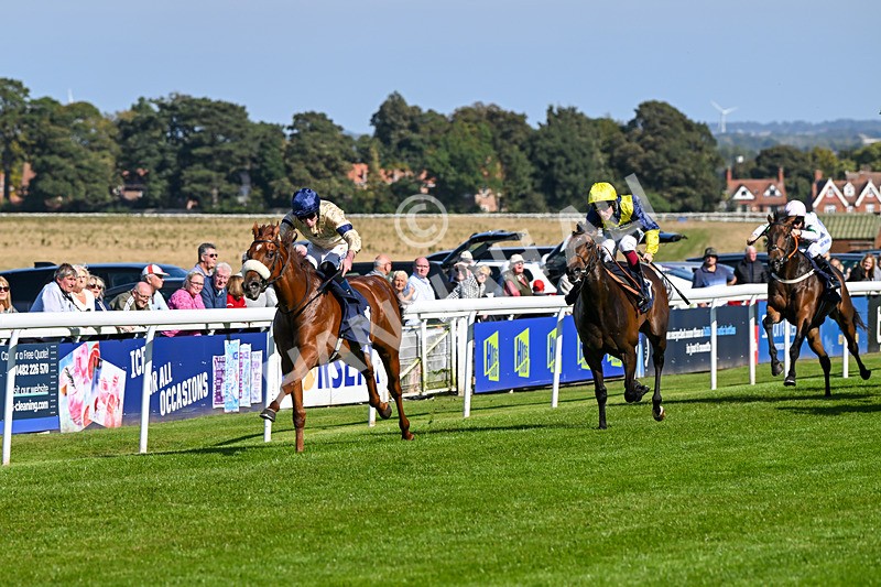 180924-Race 2-American Style-3942 - Race 2