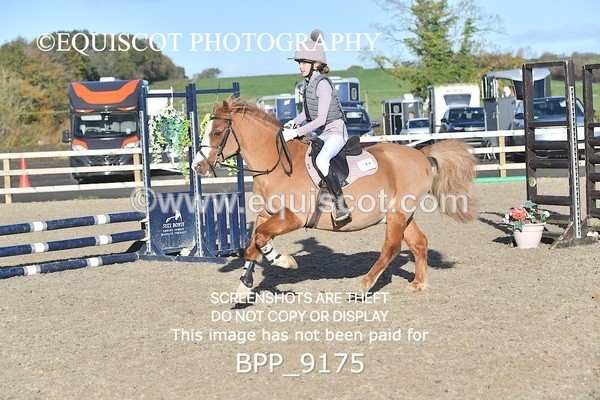 BPP_9175 - CLASS 2 50CM