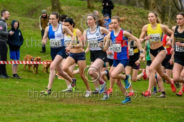 Falkirk26-913137 - Senior Women Set One