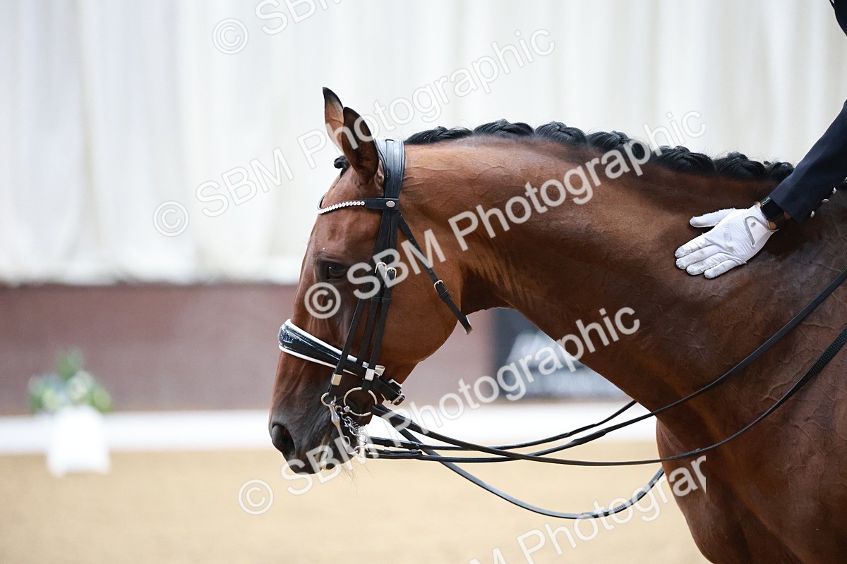 SBM_008764 - Class 14 - FEI PSG - 9.30-10.30