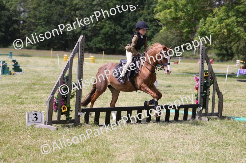20260614-1997 - Class 21 - Novice Working Hunter Pony