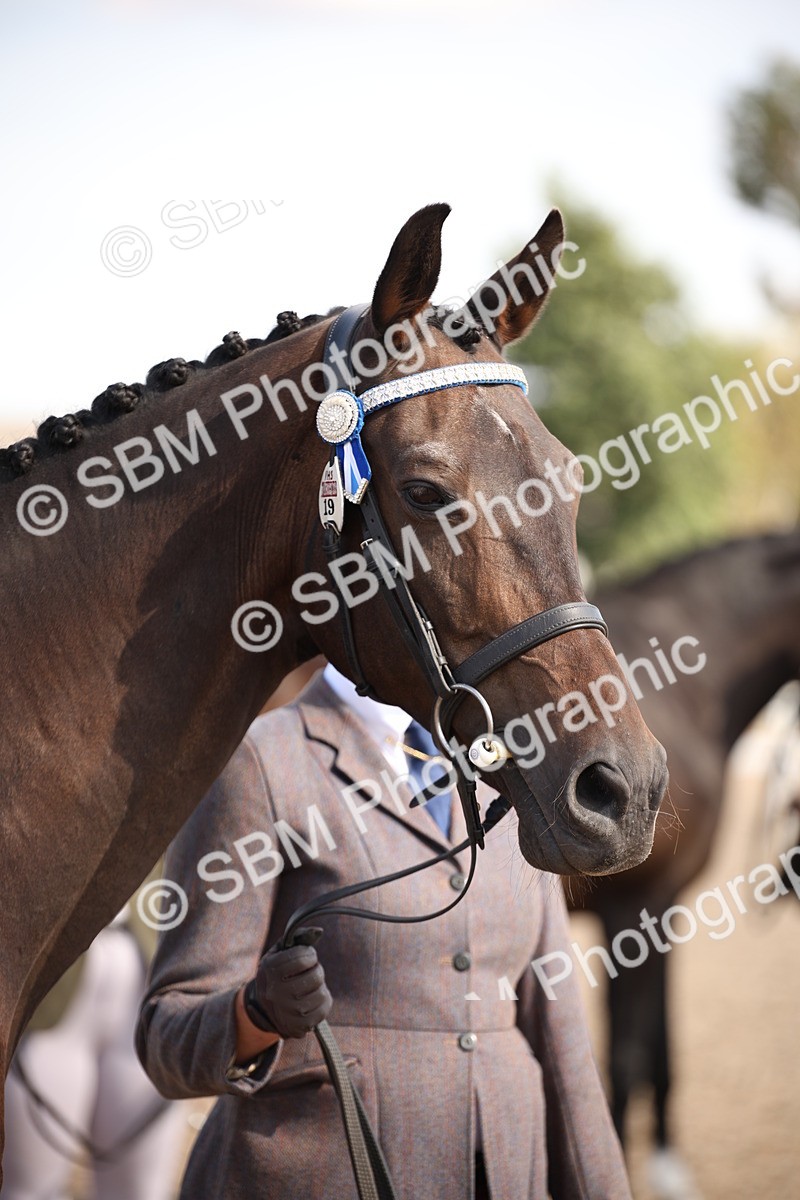SBM_07093 - Class 25 IH Foreign Breeds- Pure bred
