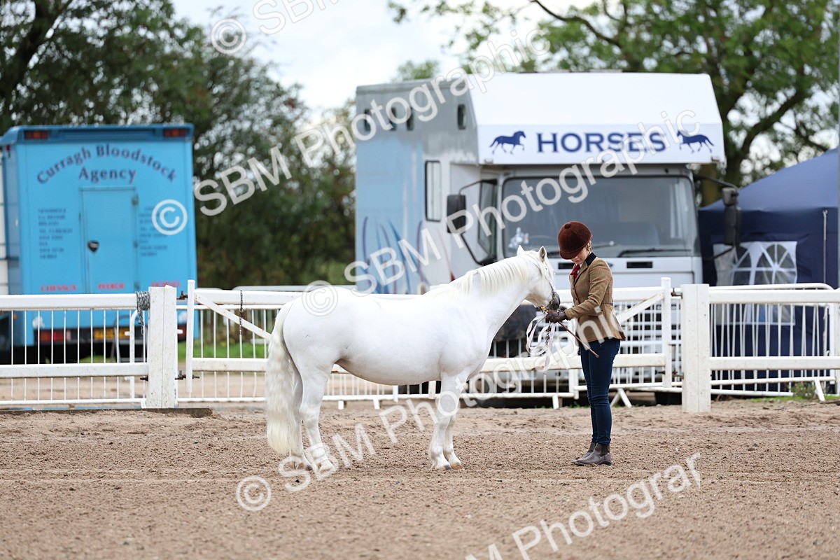 SBM_00232 - Class 13 - Young Handler