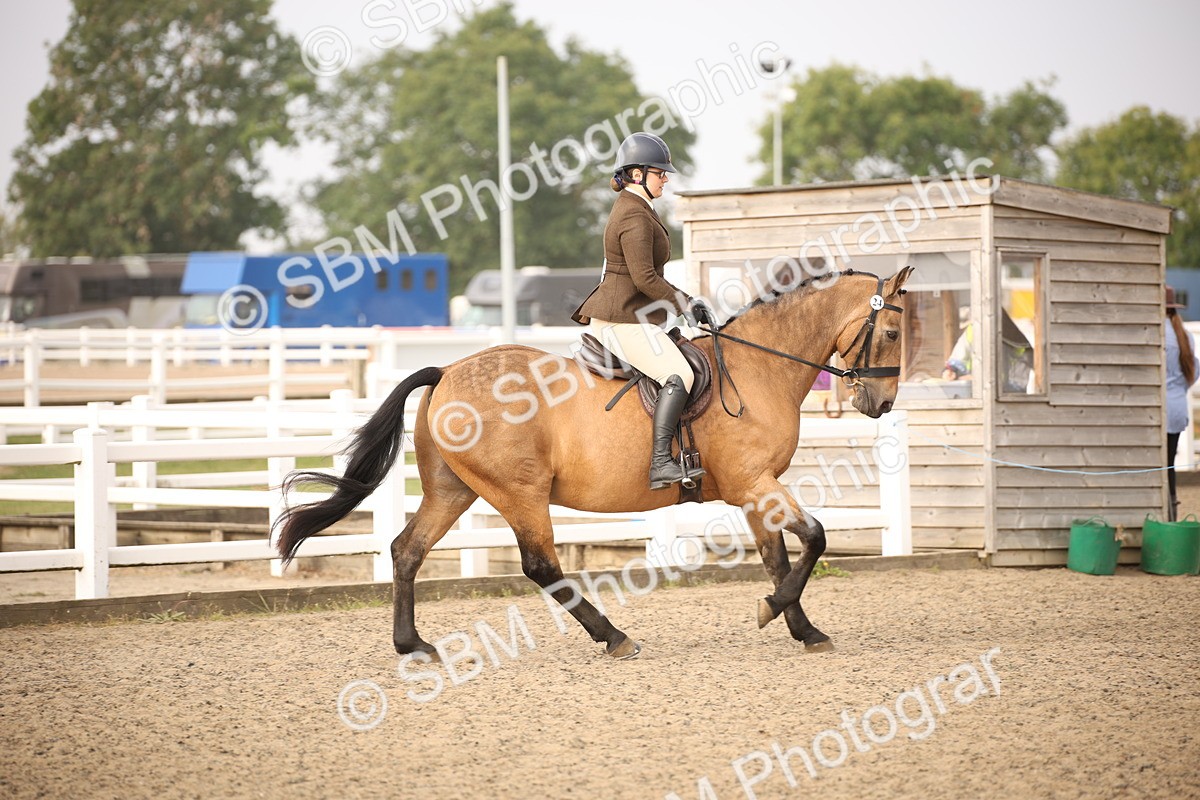 SBM_10207 - Class 402 Riding Club Horse