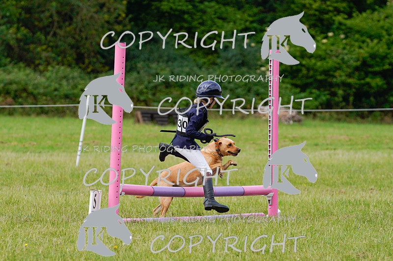 _DSC4891 - CLASS 7 HORSE & HOUND RING 2