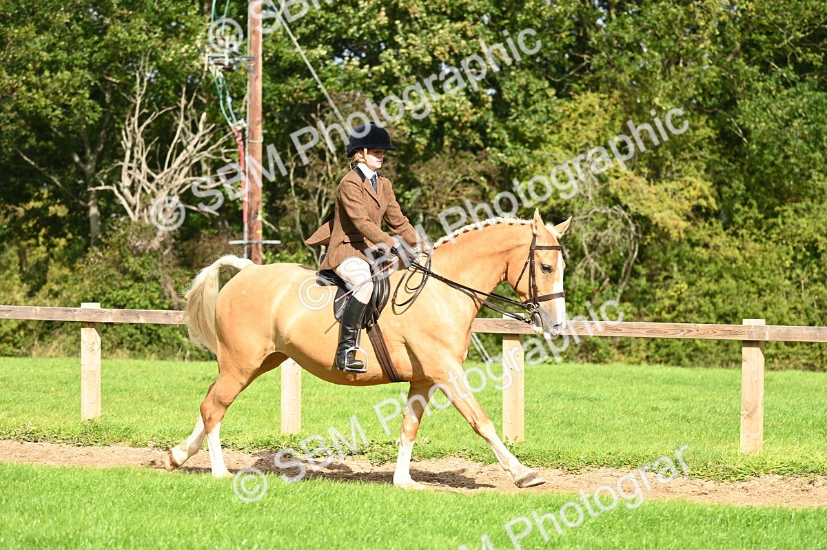 SBM_01735 - S2 - TSR Ridden Horse Showing