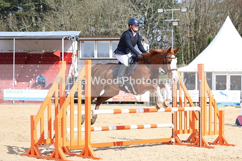 3E7A6580 - Class 4: Senior British Novice/90cm open