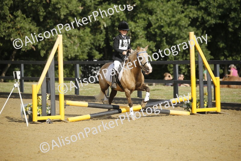 20250622-1186 - 40cm