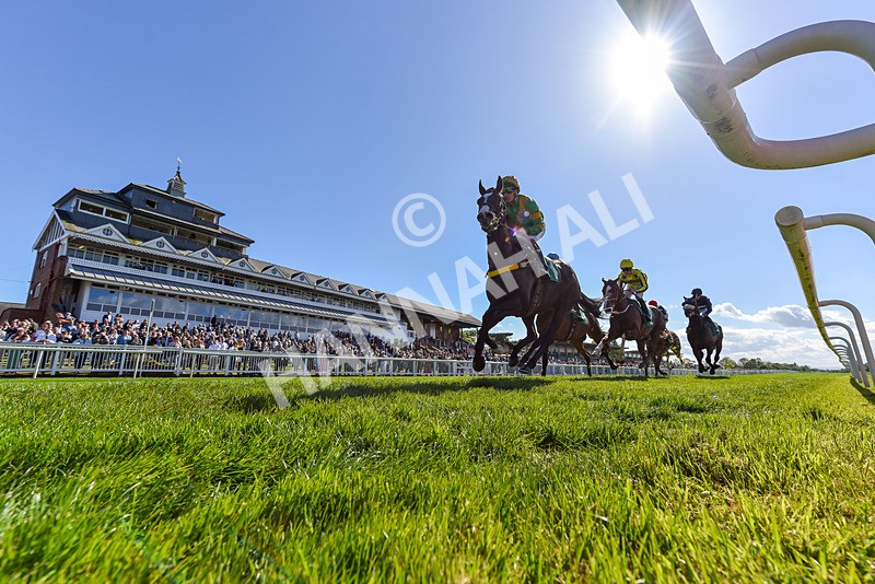 030525-Race 5-Savrola-1431 - Race 5